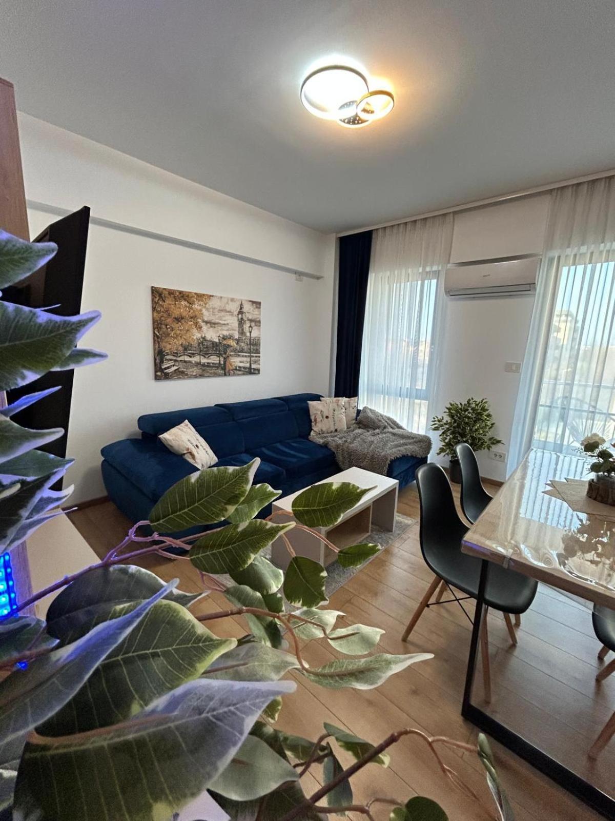 Apartment Vladi Q Timişoara